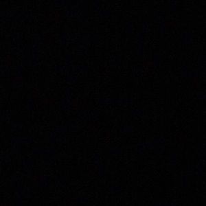 Meet your Posher, Sadie